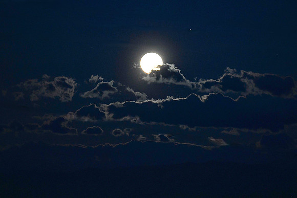 DSC_1898_edited-1 - Blue Moon