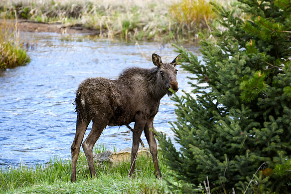 DSC_1980_edited