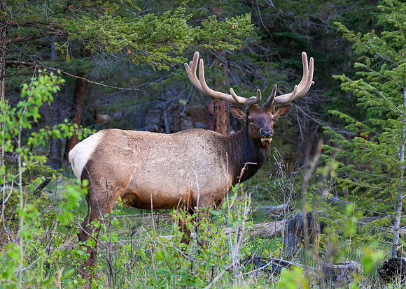 DSC_1945_edited