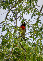DSC_041_edited