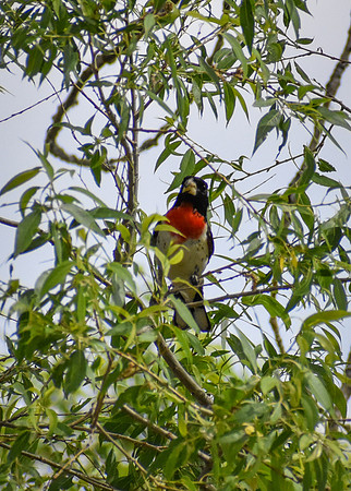 DSC_041_edited