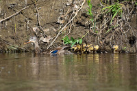 DSC_097_edited