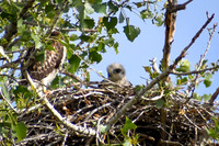 DSC_0139_edited