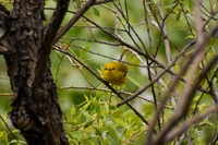 DSC_0124_edited