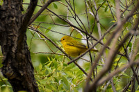 DSC_0122_edited