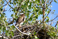 DSC_145_edited
