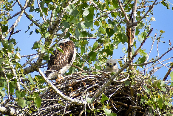 DSC_145_edited
