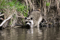 DSC_0044_edited