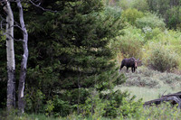 DSC_2829-1