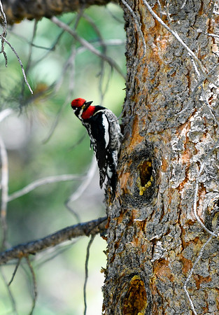 DSC_2562_edited
