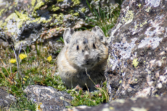 DSC_0696_edited