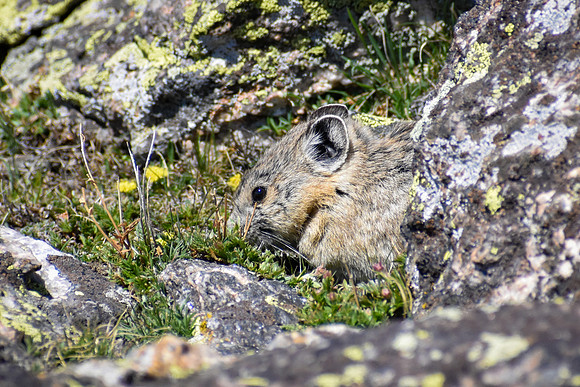 DSC_0674_edited