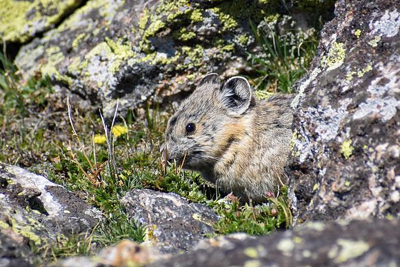 DSC_0677_edited