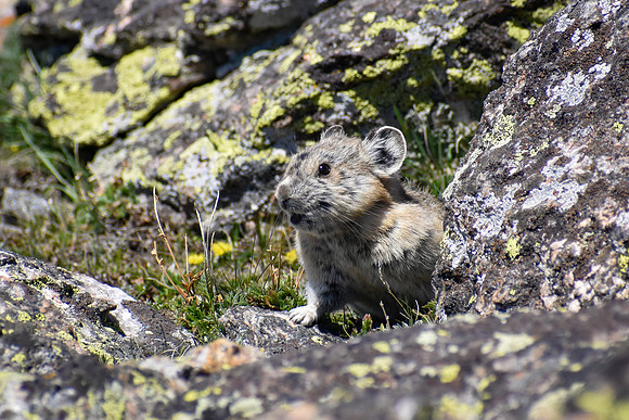 DSC_0723_edited