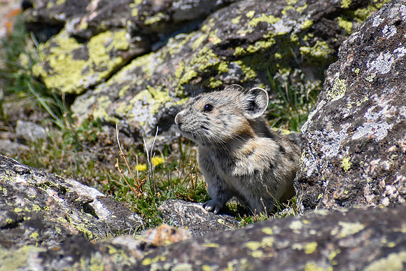 DSC_0732_edited