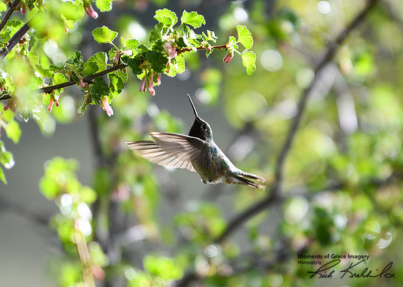17 - DSC_9377_edited