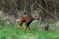 19 - DSC_9391_edited