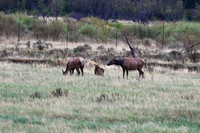 4 - DSC_9204_edited
