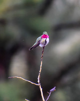 10 - DSC_0473_edited-1