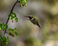 18 - DSC_0509_edited