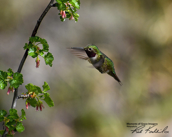 18 - DSC_0509_edited