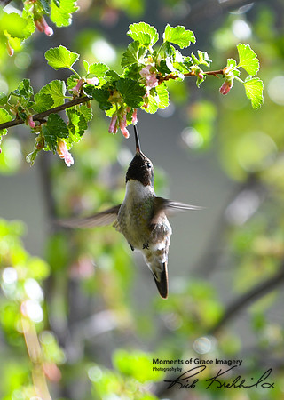 16 - DSC_9376_edited