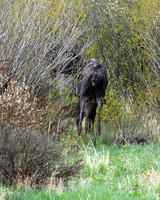 13 - DSC_9335_edited