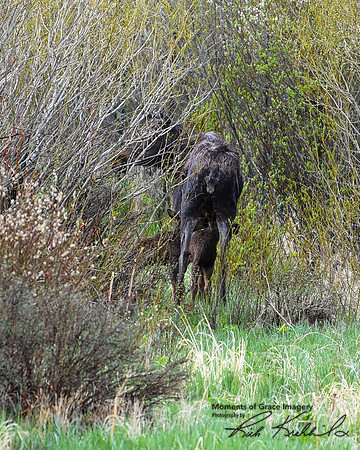 13 - DSC_9335_edited