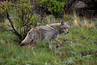 6 - DSC_0655_edited