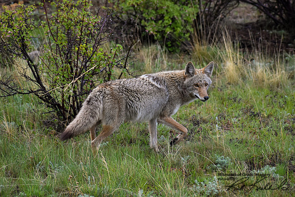 6 - DSC_0655_edited