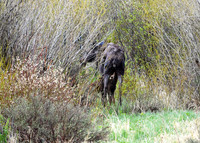 12 - DSC_9314_edited