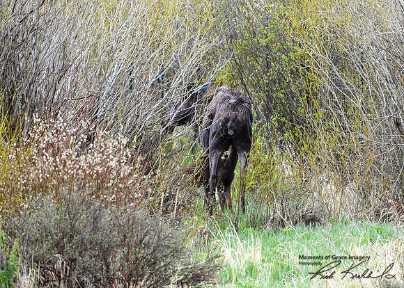 12 - DSC_9314_edited