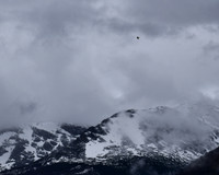 8 - DSC_0446_edited - Hummingbird hovers over his kingdom!