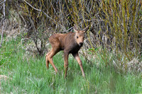 20 - DSC_9396_edited