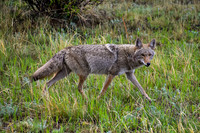 5 - DSC_0653_edited-1_edited