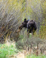 14 - DSC_9345_edited