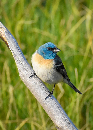 DSC_0123_edited-2 - MXK