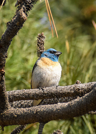 DSC_0240_edited - MXK