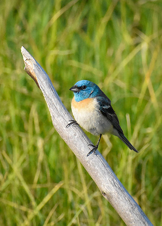 DSC_0128_edited-2 - MXK