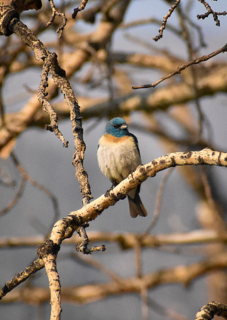 DSC_0049_edited