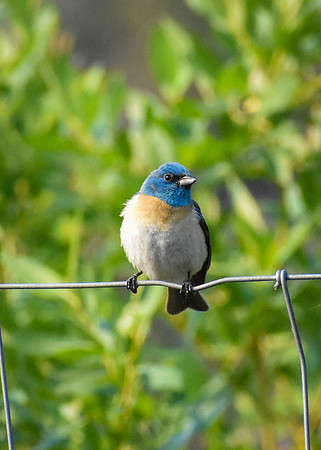 DSC_0163_edited
