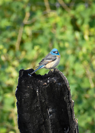 DSC_159_edited