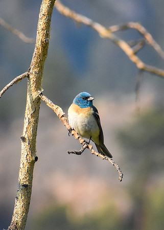 DSC_0203_edited
