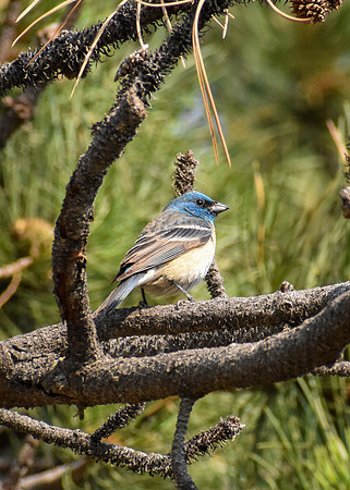 DSC_0225_edited