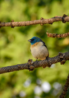 DSC_0020_edited