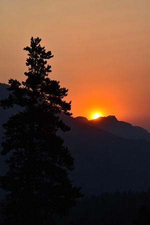 DSC_0562_edited