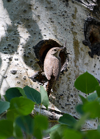 DSC_2634_edited