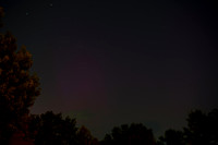DSC_4332-1 - 2026-07-04