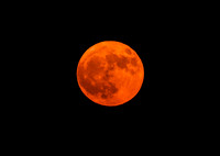 DSC_4188_edited - 2026-06-29 - Full Strawberry Moon rising