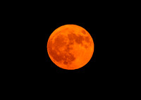 DSC_4200_edited - 2026-06-29 - Full Strawberry Moon rising